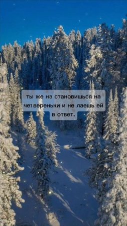 Если тебя оскорбляют, не стоит уподобляться и отвечать им в ответ, ведь когда на тебя лает собака...