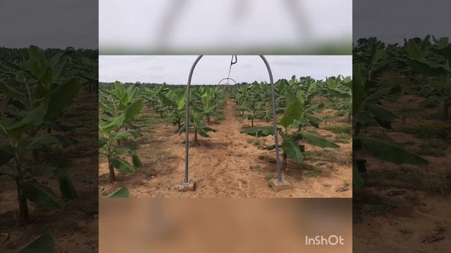 Tierra De Diatomeas Silice смотреть онлайн