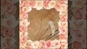 ВЫДАВЛИВАНИЕ ПРЫЩЕЙ ЧИСТКА КОЖИ🌟🌟