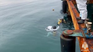 Водолазы исследуют Черное море после ЧС с танкерами: видео МЧС