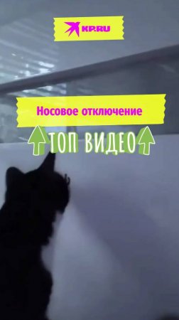 Носовое отключение