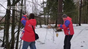 Сытно и красиво. Егорьевские волонтёры сделали съедобные кормушки для птиц