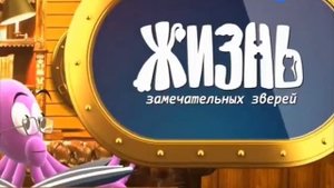 Анонс "Жизнь замечательных зверей" (Карусель, 2011)