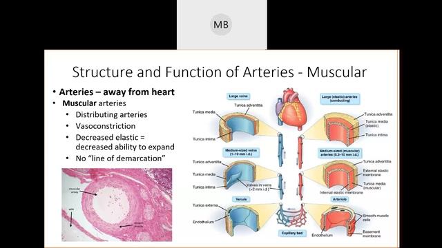 Roblox тка где суперспособности. The kinetic abilities выбор кинеза роблокс. The kinetic abilities. The kinetic abilities chlorokinesis how to get. The kinetic abilities.