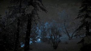 Уютный зимний шум ветра со снегом и вьюгой в волшебном лесу