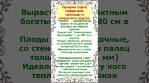 Когда сеять Перец на рассаду.Калибровка семян.Не упустите время!