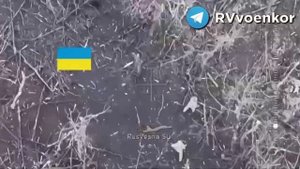 Штурм курских Погребков: 34-я бригада ворвалась в окопы оккупантов