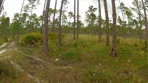 New To Me- Kel Tec P-32