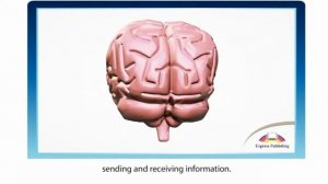 Action 10  Module 1  Myth Busters Ex2 p12 SB