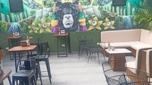 Black Llama hostel Miraflores Lima Peru