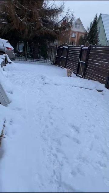 24-01-2025 смотреть онлайн