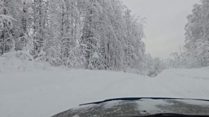 Архангельская область Лешуконский район Зимняя дорога д. Палащелье январь 2025 г.
