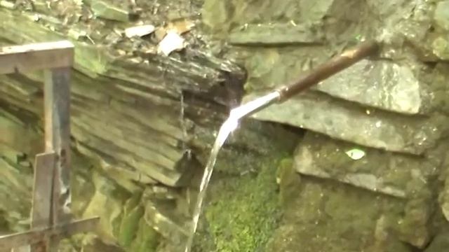 VLOG Пикник 2014 с детьми и друзьями вегетарианцами смотреть онлайн