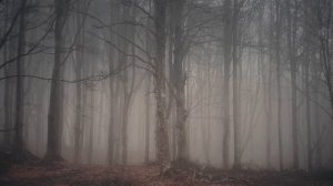 A Tergo Lupi - Anma ed Préia