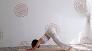 23 августа 2024 г.