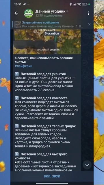 Срочно сделай это осенью на своем участке!  #дача #сад #огород #обработка