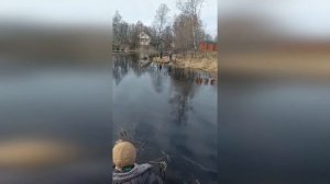 Староладожский канал - ход плотвы, окуня и язя. Рыбалка в Ленинградской области