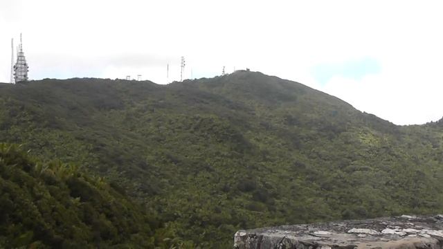 Panaromic view atop Torre Britton - El Yunque National Forest Puerto Rico смотреть онлайн