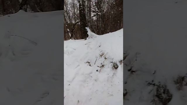 Родник село Горохово смотреть онлайн