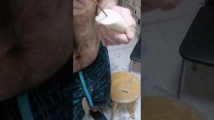 Чучело утки своими руками.