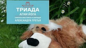 КУКОЛЬНОЕ ВОСПРИЯТИЕ ЖИЗНИ ОТ 24.01.2025