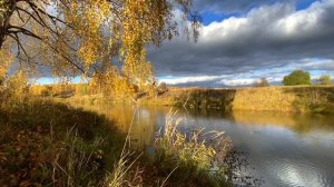 Ненашево Заокский район Тульской области 92