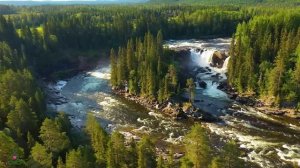 Нежный и крепкий СОН, глубокий релакс и успокоение нервной системы