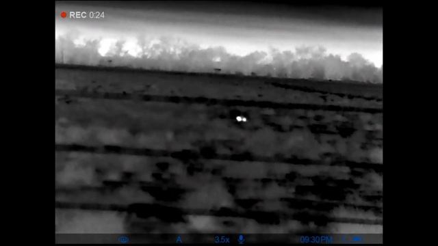 Coyote Hunting | Thermal | Pulsar Thermion 2 XP50 смотреть онлайн