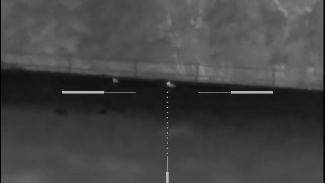 thermal pulsar xq50 trail and afew les rabbits an foxes смотреть онлайн