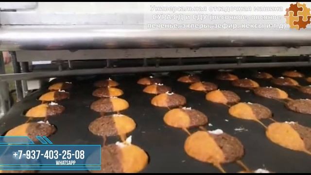 Производство кексов (двухцветных) с начинкой. Отсадочная машина СУРА