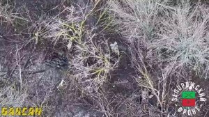 Штурмовые действия подразделений ВС РФ