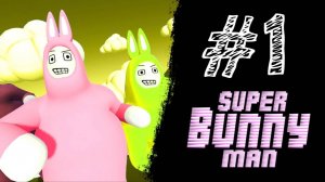 ДИЧАЙЩИЕ КРОЛИКИ. Прохождение #1 - Super Bunny Man.