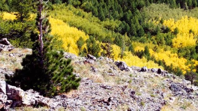 blueclearwater смотреть онлайн