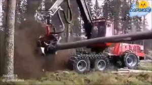 Вот так бы жить, Слабо...