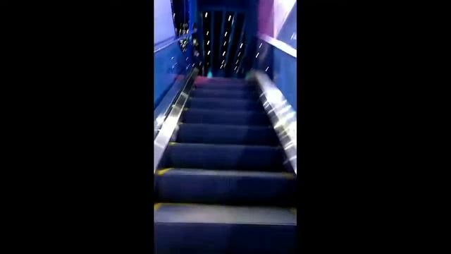 Экспозиции Приморского океанариума за 2 минуты смотреть онлайн