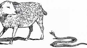 Змея и Овца | И. А. Крылов