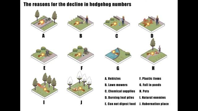 Jiayu Sun: Synergetic Landscapes Concept Introduction смотреть онлайн