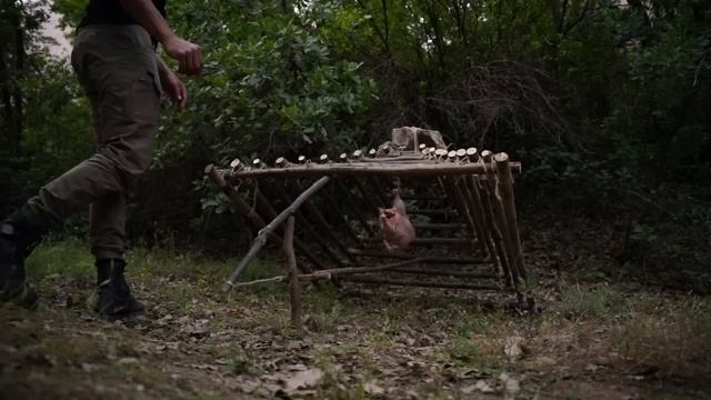 Primitive Technology: Primal Wolf Trap / Survival / Bushcraft / İlkel Kurt Tuzağı смотреть онлайн