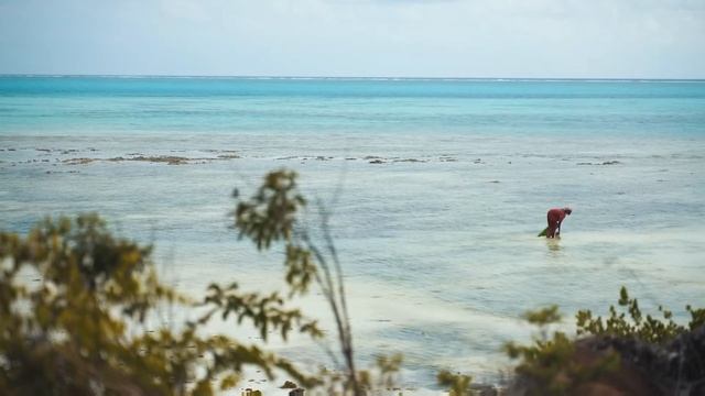 #мелодия души #релакс смотреть онлайн