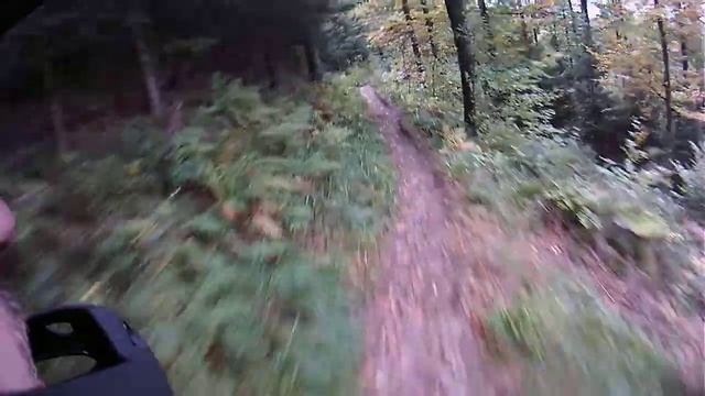 Downhill Kandel, Herrenpfad richting Denzlingen und natürlich auch hoch gefahren ;) Teil 1 смотреть онлайн