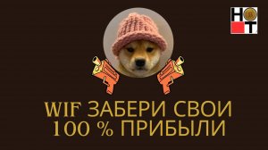 Когда выгодно купить WIF и заработать 10х