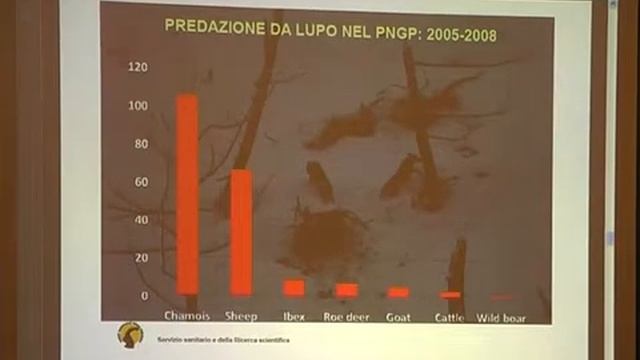 Valprato, dibattito sul tema: convivere con il lupo si puo смотреть онлайн