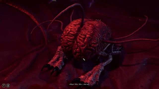 Baldur's Gate 3 - прохождение серия 1 (вместе с Зубином)