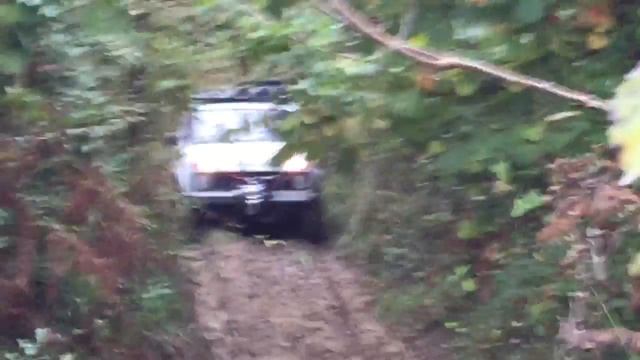 Покатушки Нива-рысь 4х4 off-road