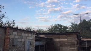 СЕРПАСТЫЕ ГОЛУБИ, БАХМУТ!!! 0950583130 Игорь Вергун