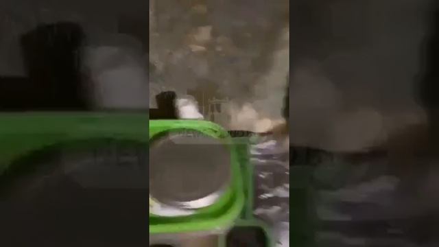 Видео из одной из квартир в Гродно, которое слабонервным лучше не смотреть