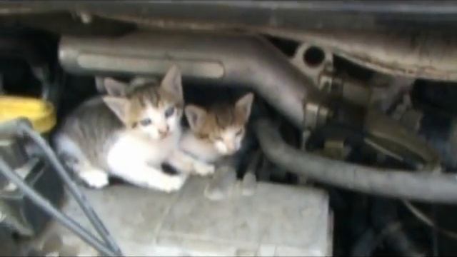 захват смотреть онлайн