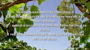Изобильнай виноградная лоза |христианские песни| |2021|