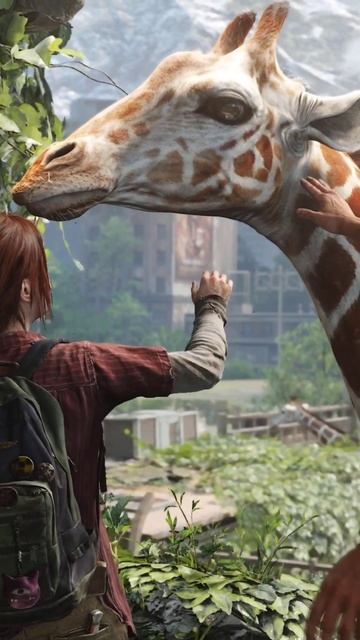 The Last of Us | Оазис жизни :)