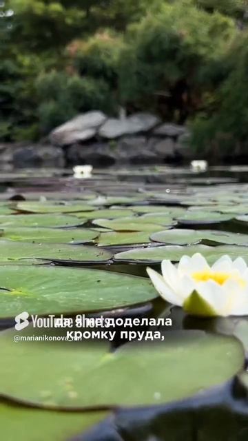 Беседа с ЭКОПЛАНТ